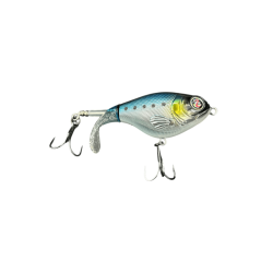 sardine