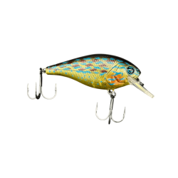Real Sunfish
