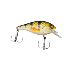 Real Perch