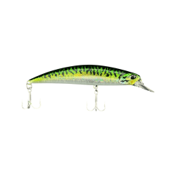 GREEN MACKEREL