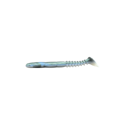 L19 ABALONE