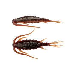 B19 Spring Craw