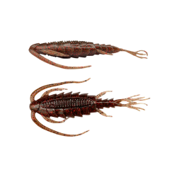 007 Ebimisio SP