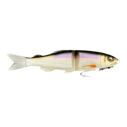 blue Shad 2