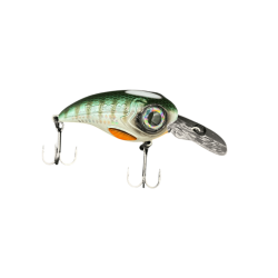 Herring