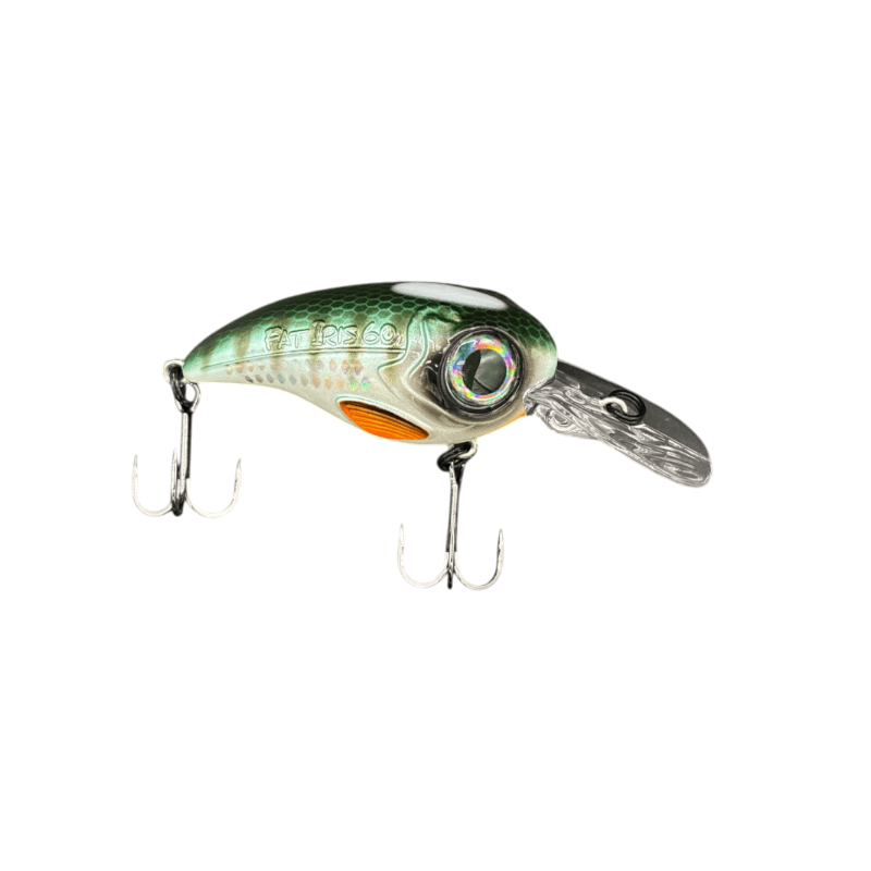 Herring