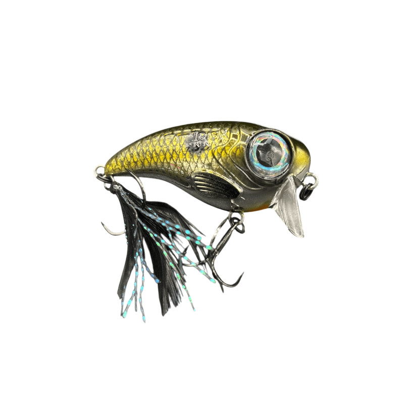 Shad