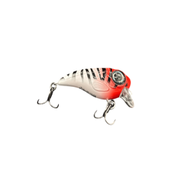 Red Head Tiger