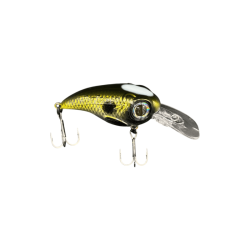 Shad