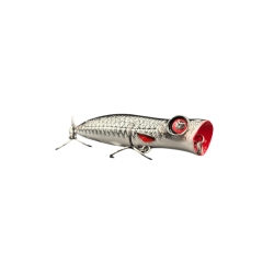 Roach