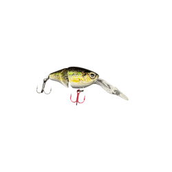 Gudgeon