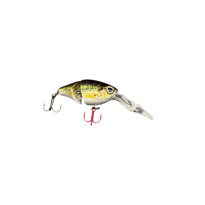 Gudgeon
