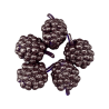 FISHUP BERRY 0.6"