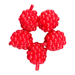#504 RASPBERRY