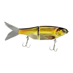 Golden Shiner