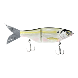 Platinium shad
