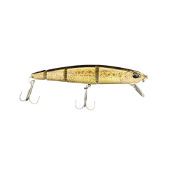 RP Loach