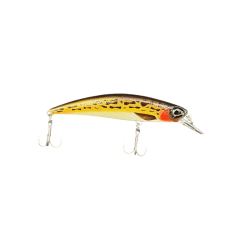 Brown Gobie