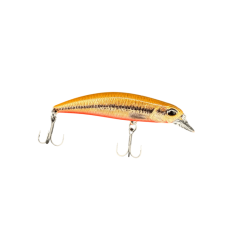 VaironRB ND