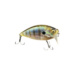 Gillkko