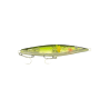 XORUS ASTURIE 110