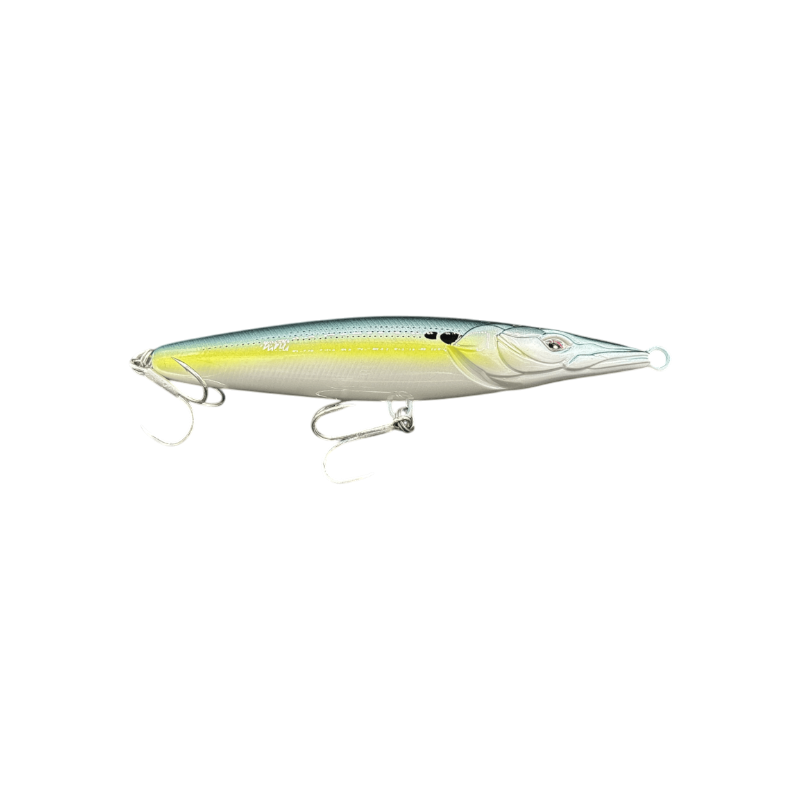 Gizzard Shad