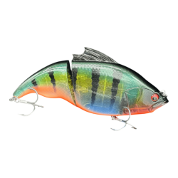 Redfin Perch