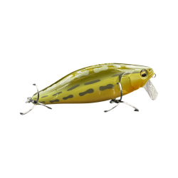 Tonosama Frog