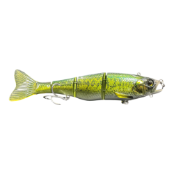 RT Biwako bass