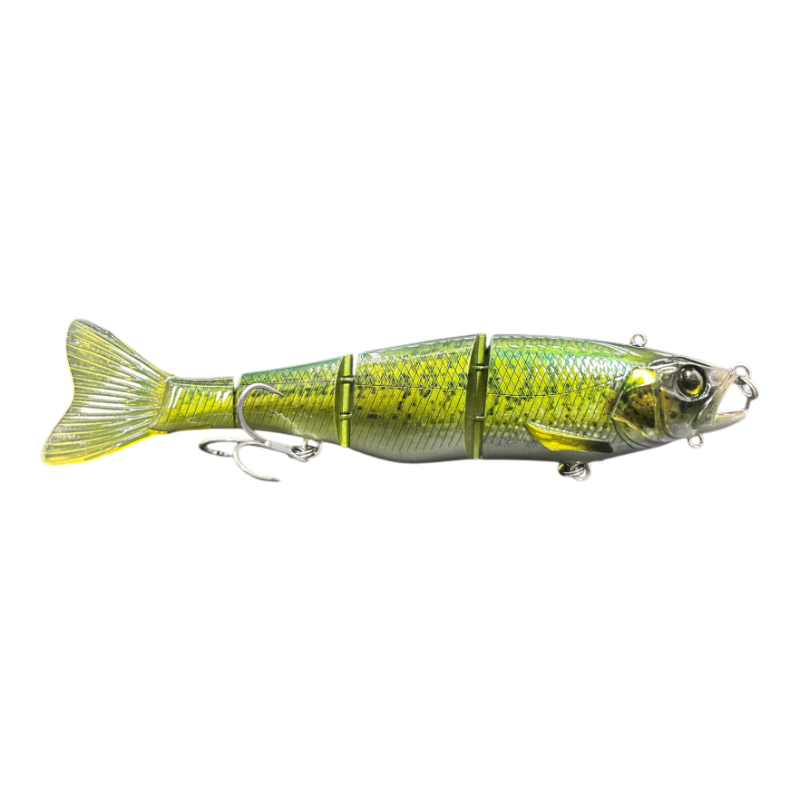 RT Biwako bass