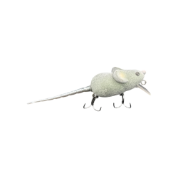 grey rat
