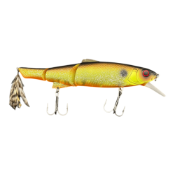 Muddy roach