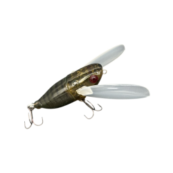 Lake Hibara Spring Cicada