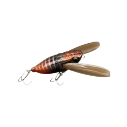 Lake Nojiri Spring Cicada