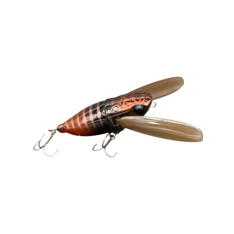 Lake Nojiri Spring Cicada