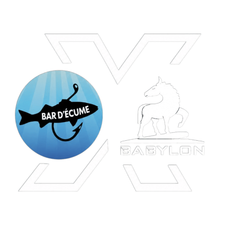 Bar d'écume X Babylon